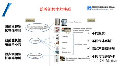 培養組通幽微世界，助力微生物資源大作為——記國家微生物科學數據中心網絡精品課網絡技術開發